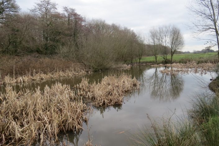 Birchmore Pond