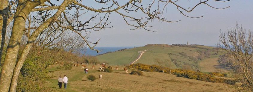 Brading Down