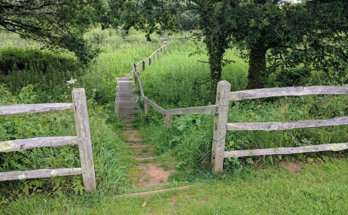 Munsley Bog