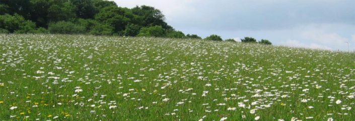 Sibden Hill