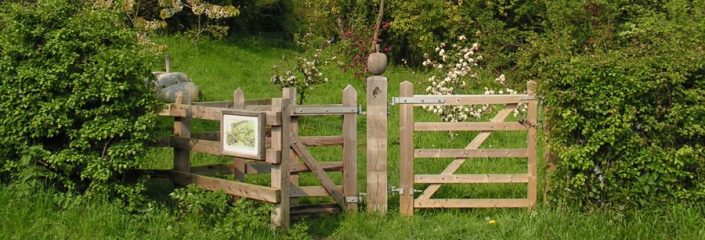 Sandown Community Orchard