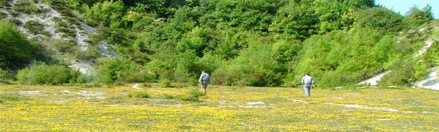 Shide Chalk Pit