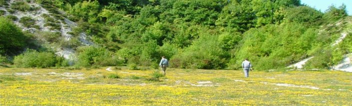 Shide Chalk Pit