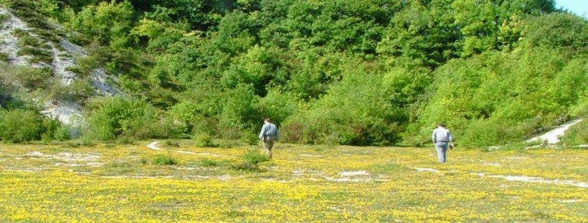 Shide Chalk Pit